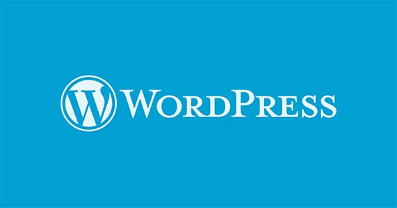 پلاگین های WordPress